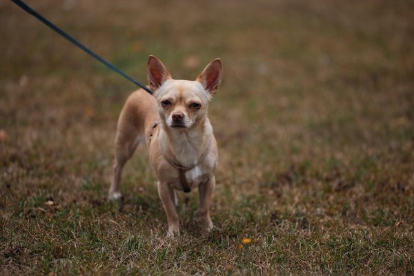 How is the UK automotive industry tackling vehicle cybersecurity threats?